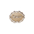 PLACA 6CM ACuCAR