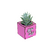 Vaso MDF Rosa 7x7cm para Suculenta com Frase Mãe Te Amo - comprar online