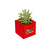 Vaso MDF Vermelho para Suculenta Mãe Te Amo 7x7cm - Rodolfo Laser 