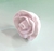 LIQUIDAÇÃO RESINA APLIQUE ROSA FRISADA 4,5CM (2PÇS) - comprar online