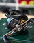 Reel Shimano Curado 301 HG en internet