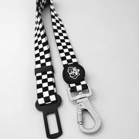Rumbis Cinturon de Seguridad