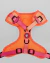 Arnes Rumbis Fit Control - Naranja - comprar online