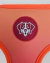 Arnes Rumbis Fit Control - Naranja - Rumbis