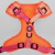 Arnes Rumbis Fit Control - Naranja - comprar online
