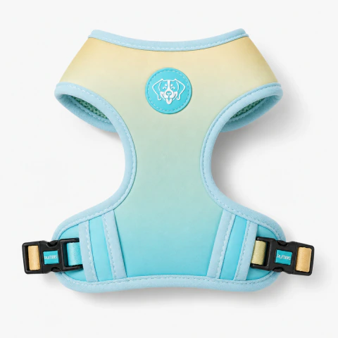 Arnes Rumbis Fit Control - Turquesa