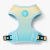 Arnes Rumbis Fit Control - Turquesa