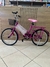 BICICLETA ARO 20 COM ROSA GARUPA CAIRU - comprar online