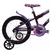 BICICLETA ARO 16 ROXA CAIRU na internet