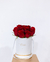 Caja floral rosas rojas