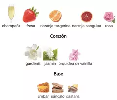 Haya Edp 100ml - Mujer - tienda online