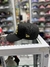 Marca new era - tienda en línea