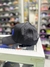 Imagen de Jj Hats x ggx
