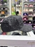 Barbas Hats skate or die - Crown Caps