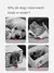 Autumn and Winter New Kennel Medium Large Dog Daikin Hair Nest Warm Thickened Cat Mattress Pet Daily Necessities Accessories na internet
