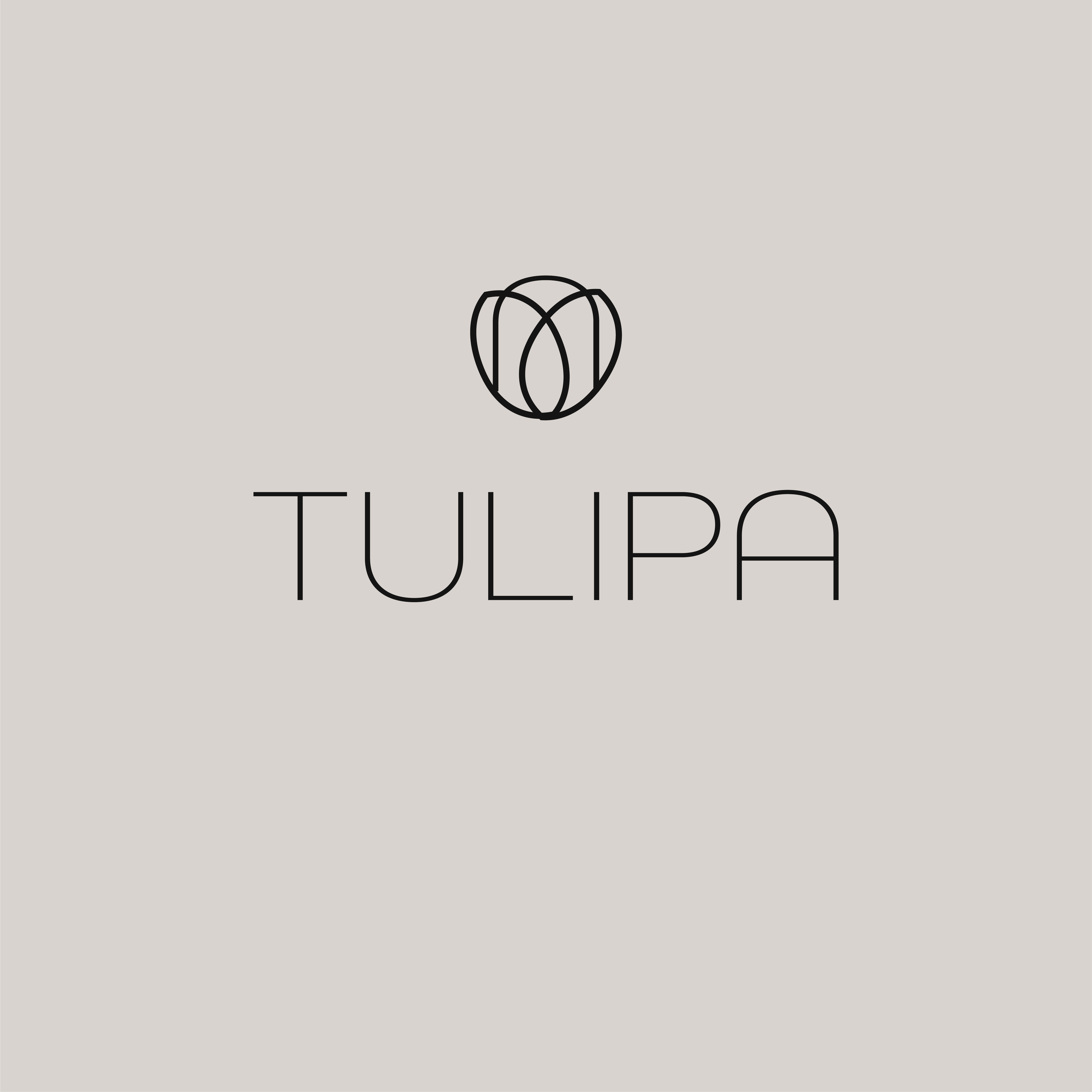Tulipa