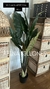 Plantas artificiales en internet