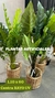 Plantas artificiales - lareinasillones