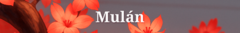 Banner de la categoría Mulán