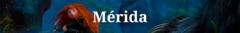 Banner de la categoría Mérida