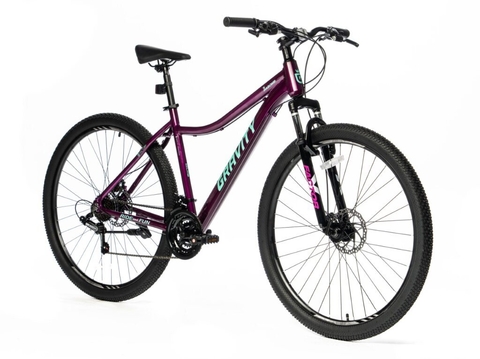 Gravity Mtb Dabomb Aluminio R29" 21V