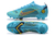 NIKE ASSASSIN XIV - DIASSPORT