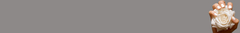 Banner de la categoría Sets