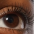 Lash Sculpt Lengthen and Lift Mascara - EZNZZA