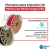 GST3D Filamento PLA+ Rollo x 1 KG (Sin Caja) AZUL - comprar online