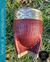 MATE IMPERIAL | Cuero Croco Marron con Base de Alpaca | Int. Calabaza - comprar online