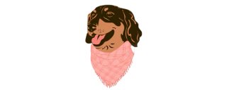 DACHIE.CO