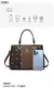 Nova mulher bolsa de ombro grande capacidade bolsa para as mulheres 2025 crossbody saco padrão plutônio portátil balde saco senhoras sacos do mensageiro na internet