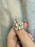 Anillo burbuja en internet