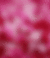 Banner de Sellect Store