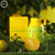 ODYSSEY LIMONI EDP 100ML en internet