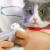 Alicate Cortador de Unha Pet com Led - comprar online
