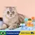 Bola Brinquedo com Catnip: Gato Feliz, Tédio Nunca Mais!"