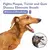 Spray Bucal Pet – Limpeza, Clareamento e Hálito Fresco - loja online