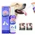 Imagem do Spray Bucal Pet – Limpeza, Clareamento e Hálito Fresco