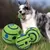 Imagem do ? Wobble Wag Giggle Ball – Brinquedo Interativo para Cães com Sons Divertidos | Estimula, Entretem e Chama Atenção do Pet