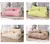 Cama Luxuosa para Gatos – Quentinha, Macia e Perfeita para o Inverno!