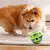 ? Wobble Wag Giggle Ball – Brinquedo Interativo para Cães com Sons Divertidos | Estimula, Entretem e Chama Atenção do Pet - loja online