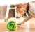 ? Wobble Wag Giggle Ball – Brinquedo Interativo para Cães com Sons Divertidos | Estimula, Entretem e Chama Atenção do Pet - Mundo de Caramelo