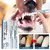 Caneta Dental Pet – Limpeza Fácil e Rápida para Dentes de Cães e Gatos