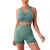 Conjunto Fitness Leggings Performance FeminiFit 009 - comprar online