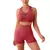 Imagem do Conjunto Fitness Leggings Performance FeminiFit 009