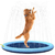 Piscina Para Pets Com Sistema de Irrigação- GRANDE - comprar online