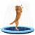 Piscina Para Pets Com Sistema de Irrigação- PEQUENA - loja online