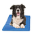 Tapete Gelado para Pets – Conforto e Refrescância nos Dias Quentes! - comprar online