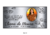 Placa para Túmulo 15x30 Aço Inox com 1 Foto em Porcelana na internet